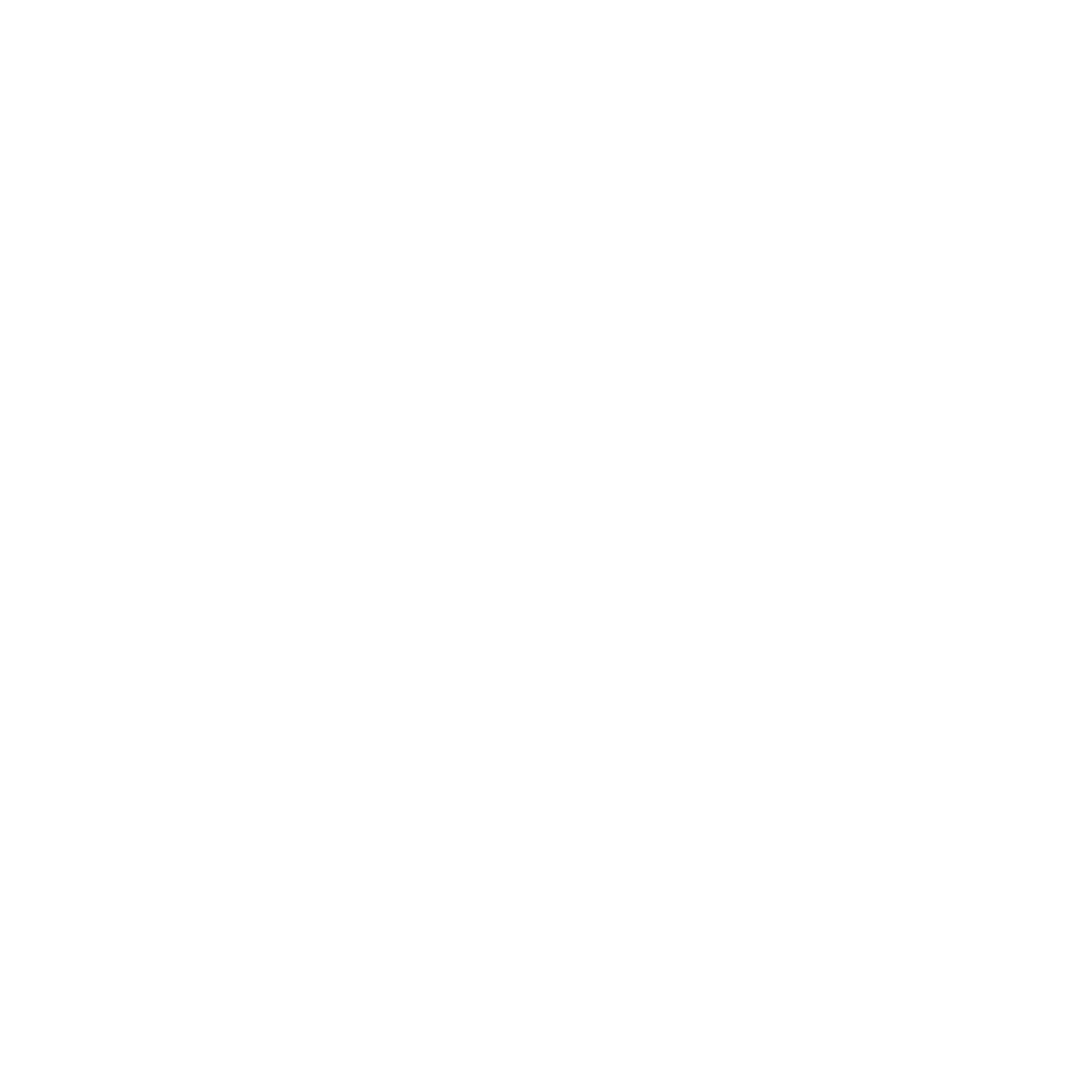 themetzicollective